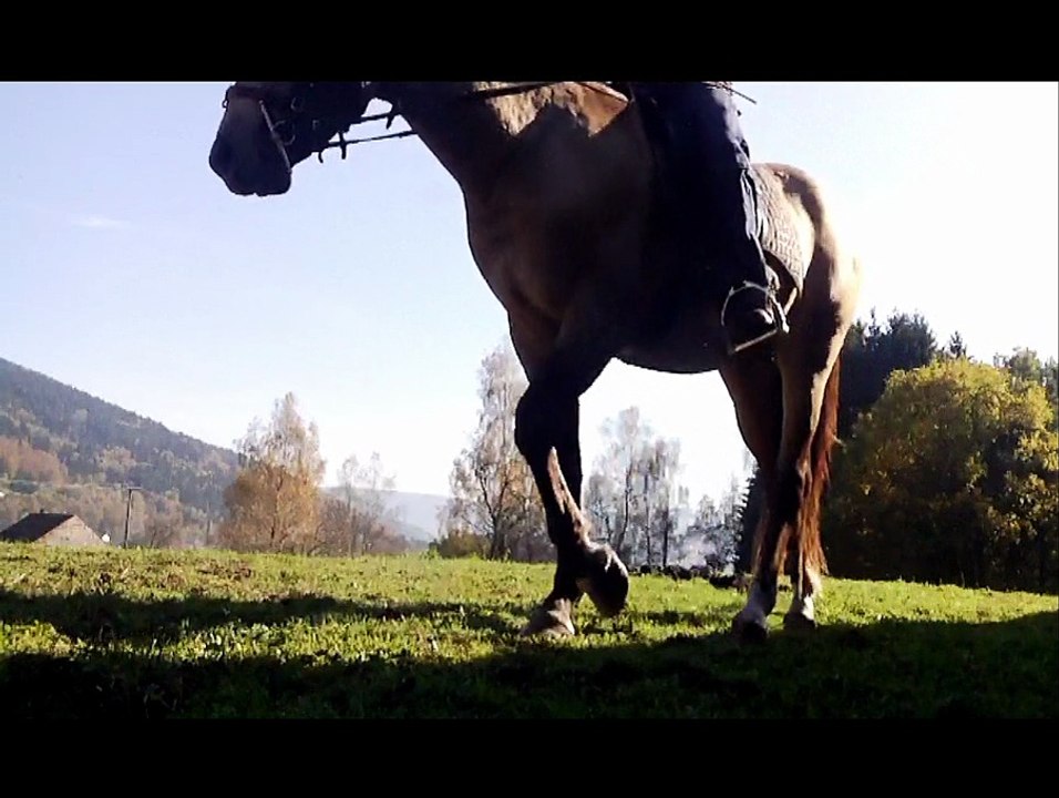 travail polop 01-11-2014