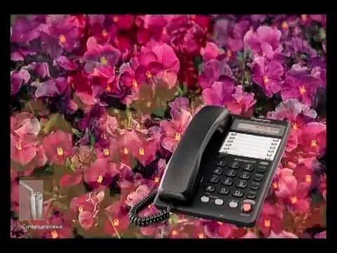 йога, фролова, самоздрав, туи, инфаркт, кардиологи, работоспсобность, похмельный синдром