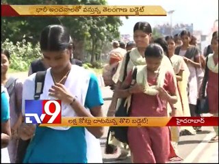 It's a Rs 1 Lakh Crore Budget for Telangana - Tv9
