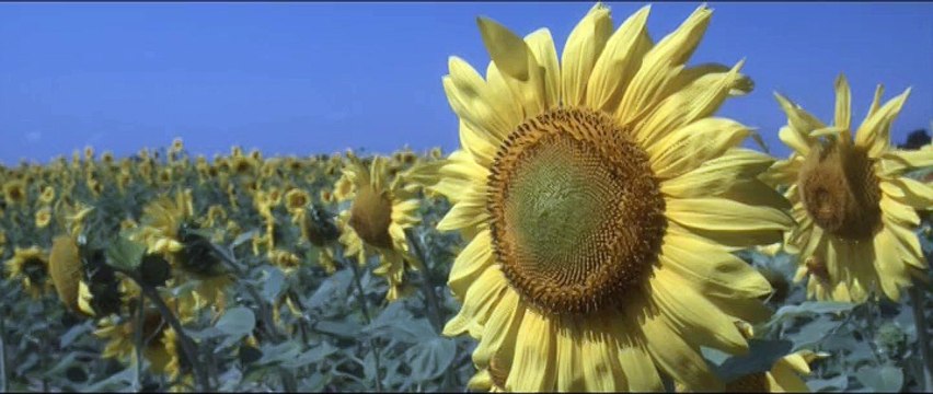 grands sites de midi pyrénées