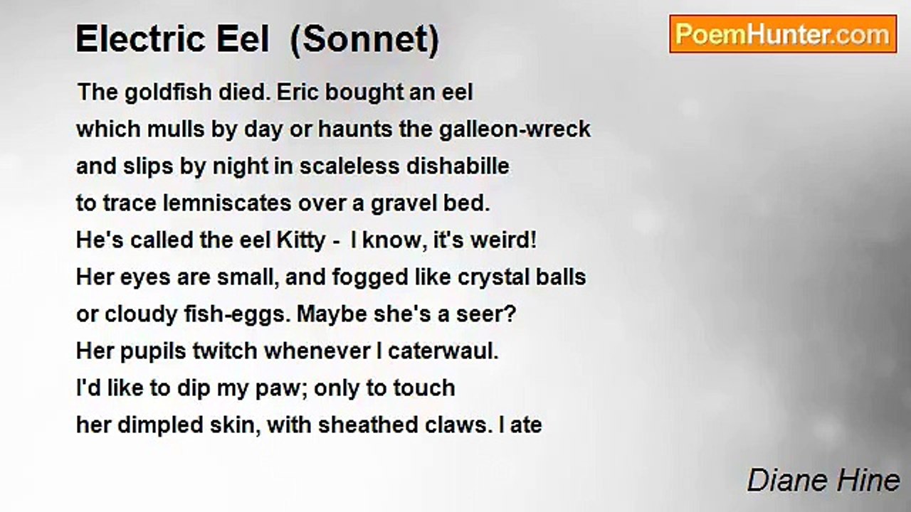 Diane Hine - Electric Eel  (Sonnet)