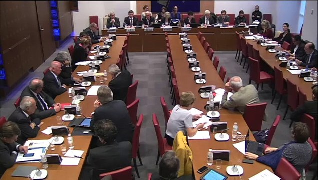 Table ronde sur les risques épidémiques du virus Ebola