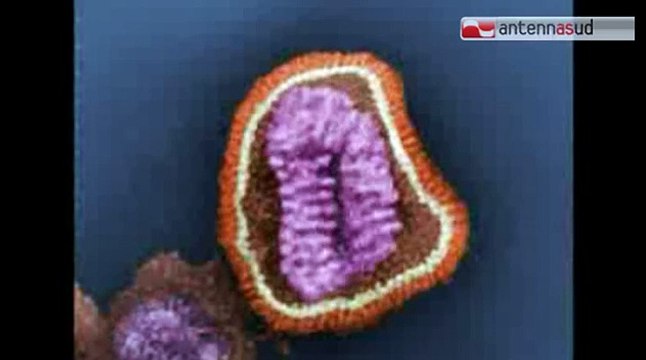 TG 04.11.14 Calano le vaccinazioni tra gli anziani