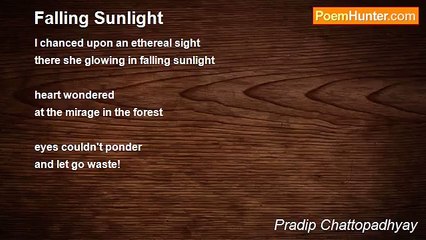 Pradip Chattopadhyay - Falling Sunlight