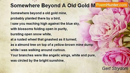Gert Strydom - Somewhere Beyond A Old Gold Mine