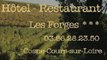 HÔTEL RESTAURANT LES FORGES à Cosne-Cours-sur-Loire dans le département de la Nièvre 58
