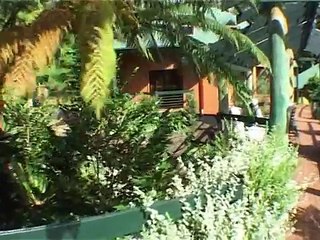 Mt Tamborine Accommodation For Lovers