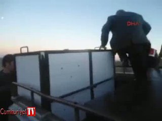 Yaralı kurt tedaviye götürmeye çalışan memura saldırdı