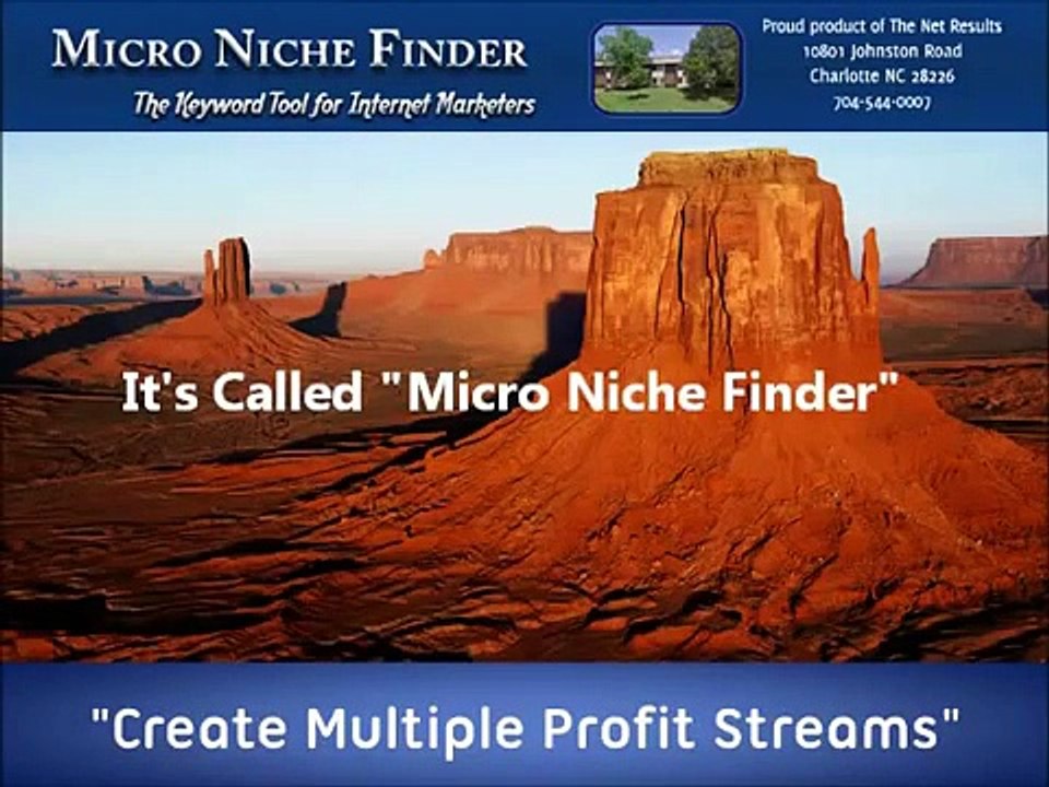 Micro Niche Finder