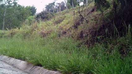 MTB, Trilha dos Óculos Amarelos, Sasselos Team, Rio Piracuama, Taubaté, Tremembé, Pindamonhangaba, Marcelo Ambrogi, (108)