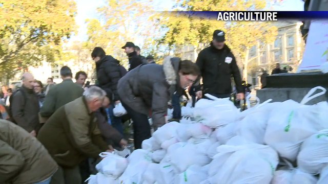 AFP - Le JT, 1ère édition du mercredi 5 novembre