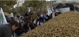 Les agriculteurs se mobilisent, fruits et légumes gratuits à Paris