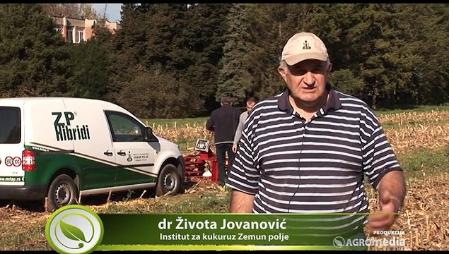 Berba kukuruza na oglednom polju, Zemun Polje_371_25.10.2014.