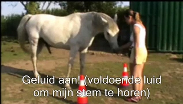 links en rechts discrimineren, clickertraining met plezier