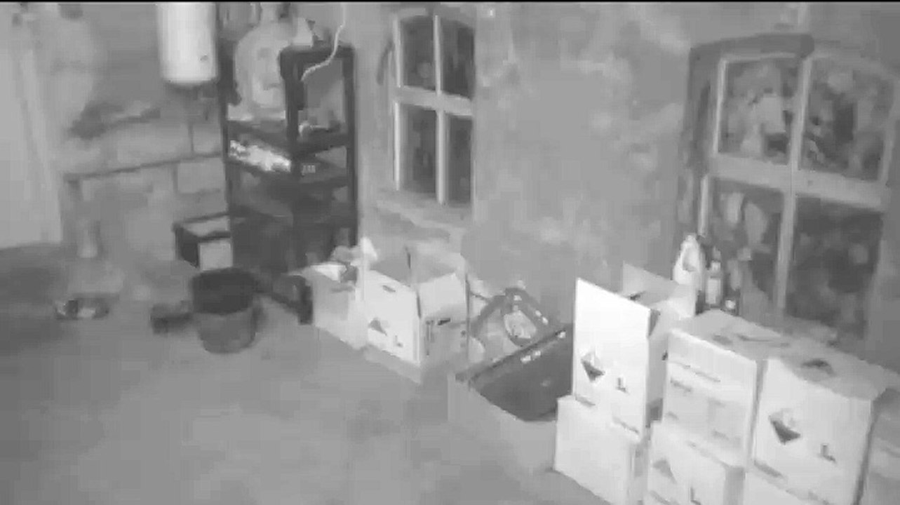 Ook op boerderij buiten Middelstum beeld en geluid van aardbeving - RTV Noord