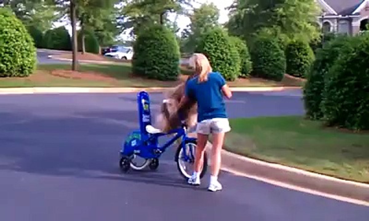 Dog Rides a bike