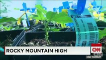 Colorado's booming marijuana industry