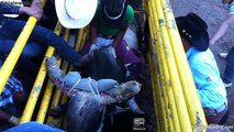 Super Jaripeo Extremo Monta De Toros Salvajes En Caleta De Campo Michoacan Mexico Espuelas Regramentarias