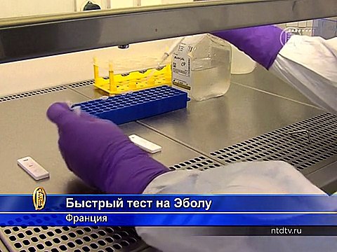 Скоростной тест на Эболу изобрели во Франции