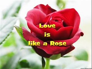 Colin Ian Jeffery - LOVE IS LIKE A ROSE