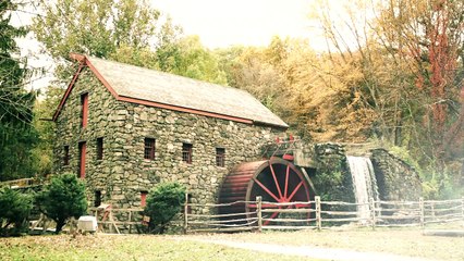 Howard Davidson Arlington MA Sharing New England