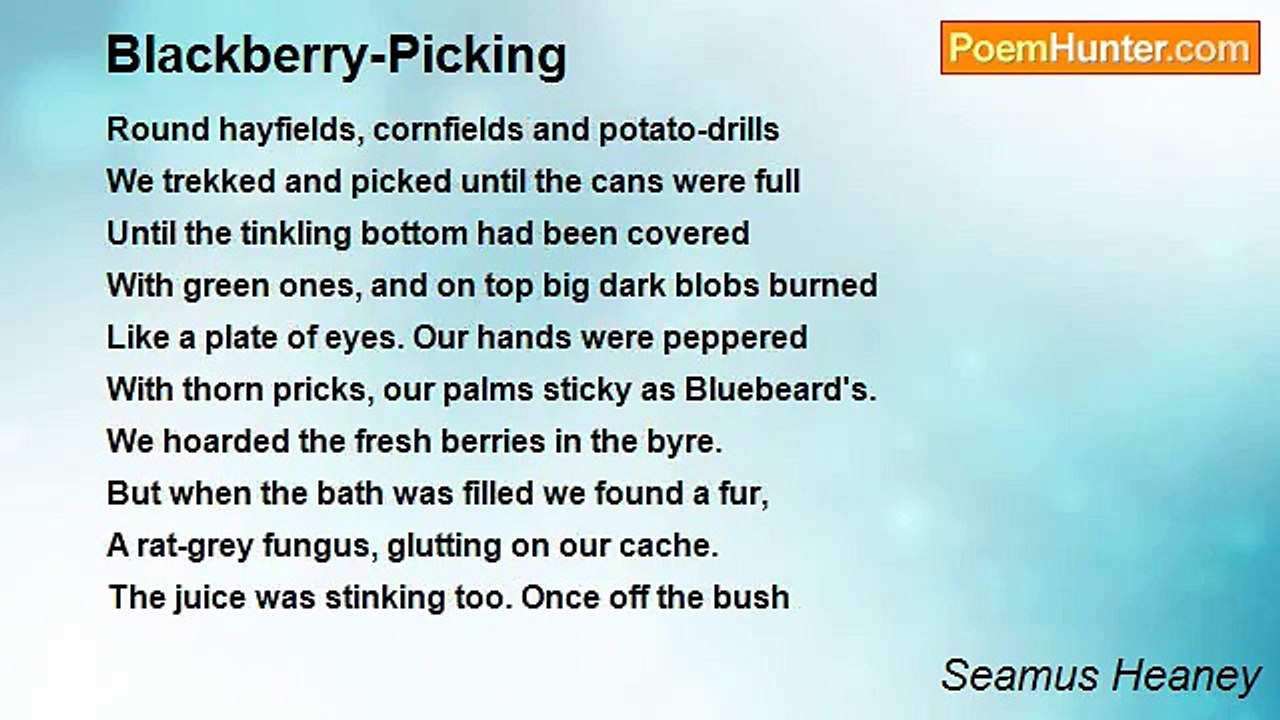 Seamus Heaney - Blackberry-Picking