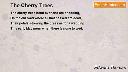 Edward Thomas - The Cherry Trees