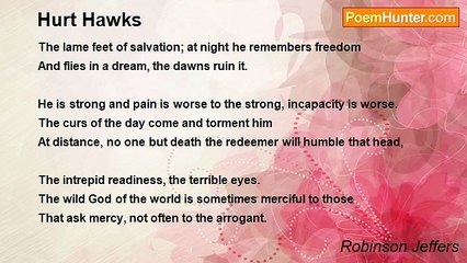 Robinson Jeffers - Hurt Hawks