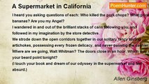 Allen Ginsberg - A Supermarket in California