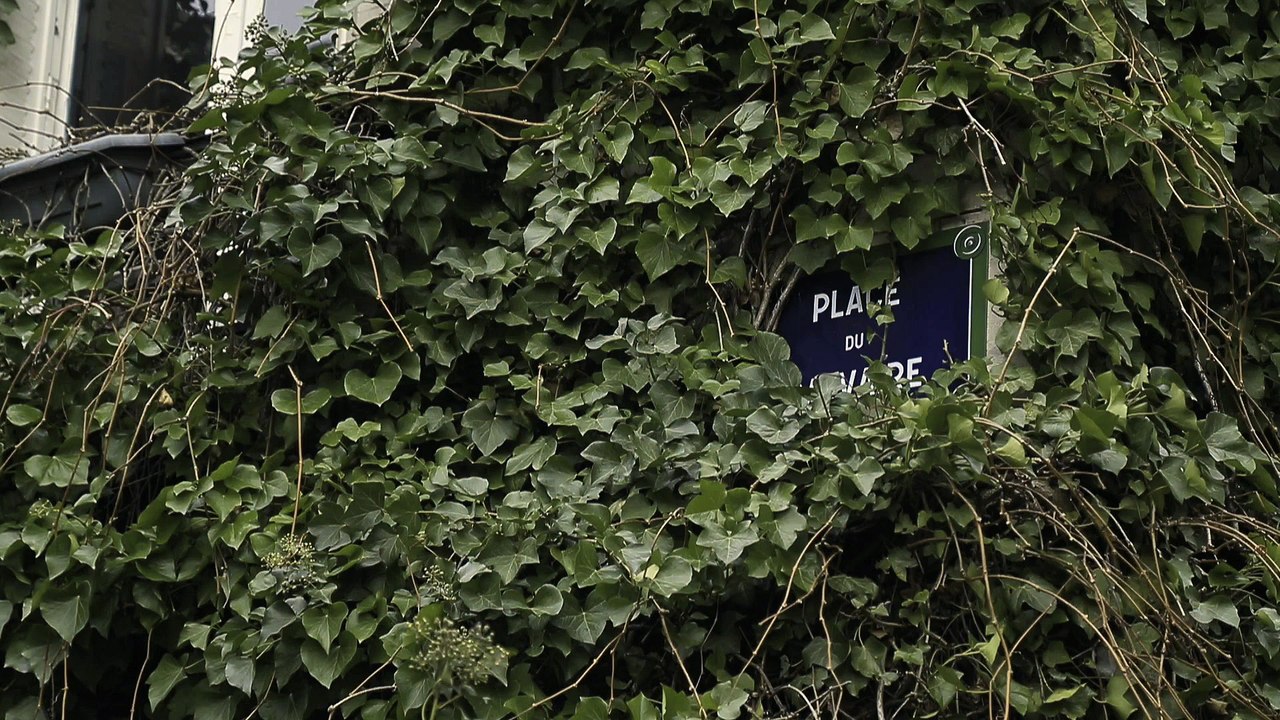 Monsieur Gontrand - Dans l'eau de la claire fontaine (Georges Brassens / reprise)