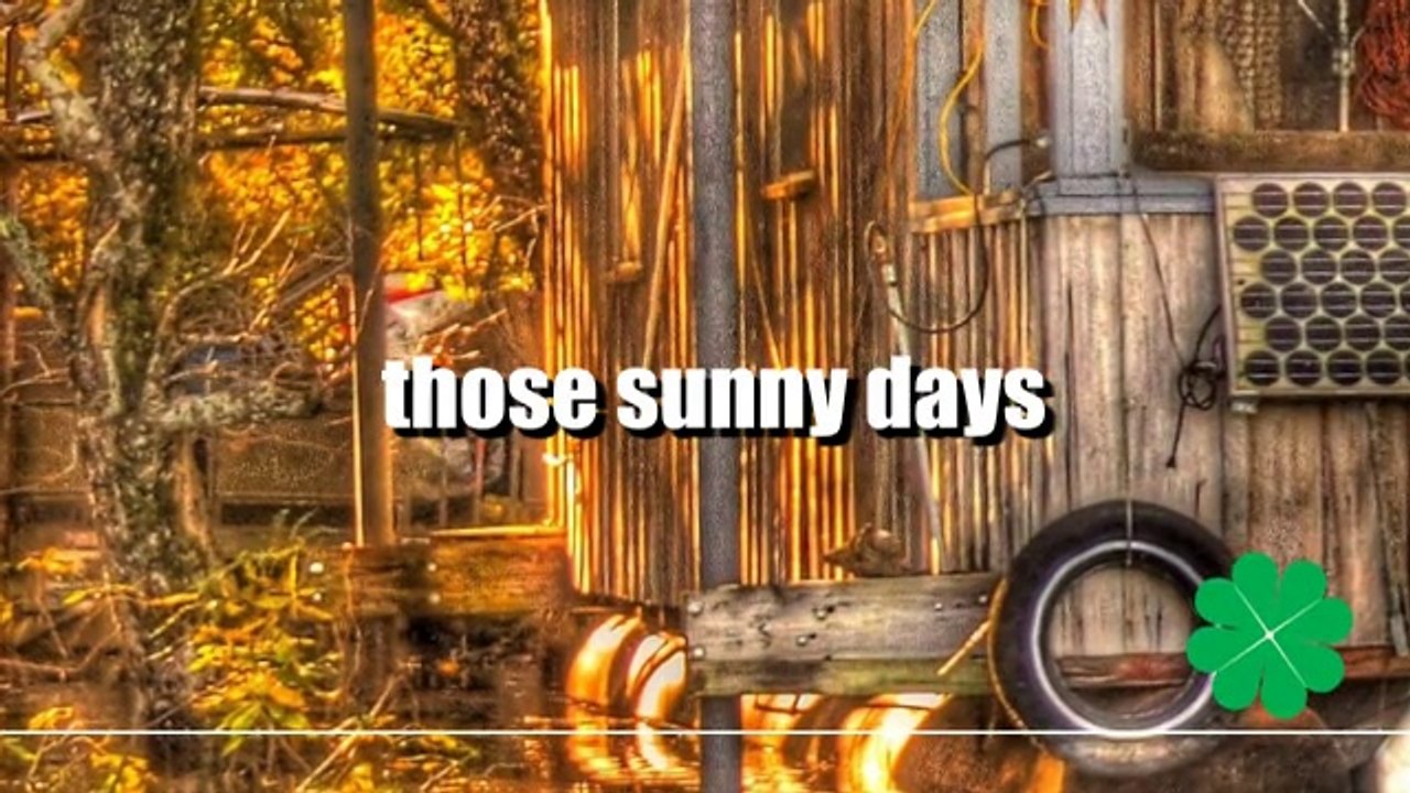 lee oskar ／those sunny days
