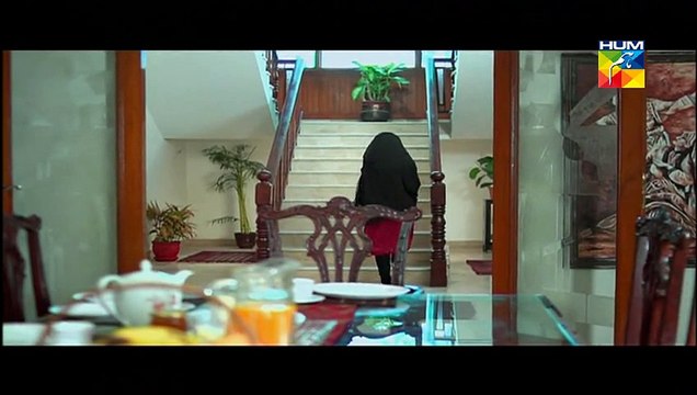 Agar Tum Na Hotay Episode 54 on Hum tv 5th November 2014