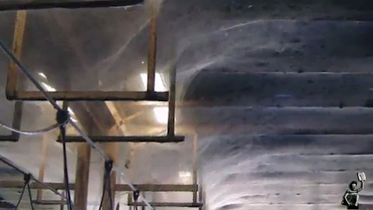 Cette immense toile d'araignée abrite pas moins de 107 millions d'arachnides !