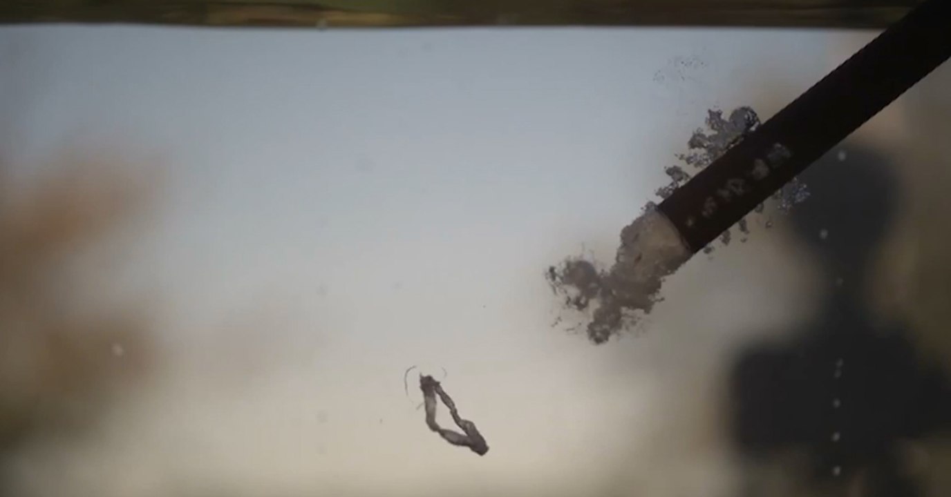 Su Altında Atış. Ağır Çekim! 60,000 Fps!