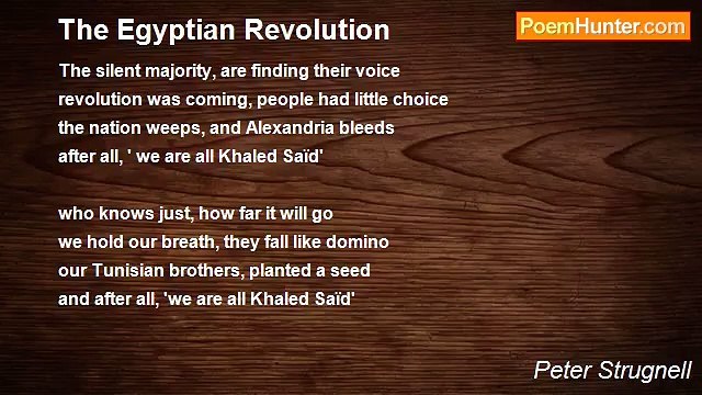 Peter Strugnell - The Egyptian Revolution
