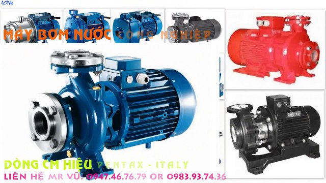 -Cung cấp...) bơm nước Pentax: CM 50-250A - 22.5kw(30hp) “- Italy”