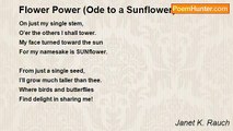 Janet K. Rauch - Flower Power (Ode to a Sunflower)
