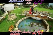 Pashto HD film I Miss You Hits | Muhabbat Ka Kharsidaly | Rahim Shah and Gull Panra