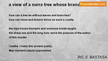 RIC S. BASTASA - a view of a narra tree whose branches are cut