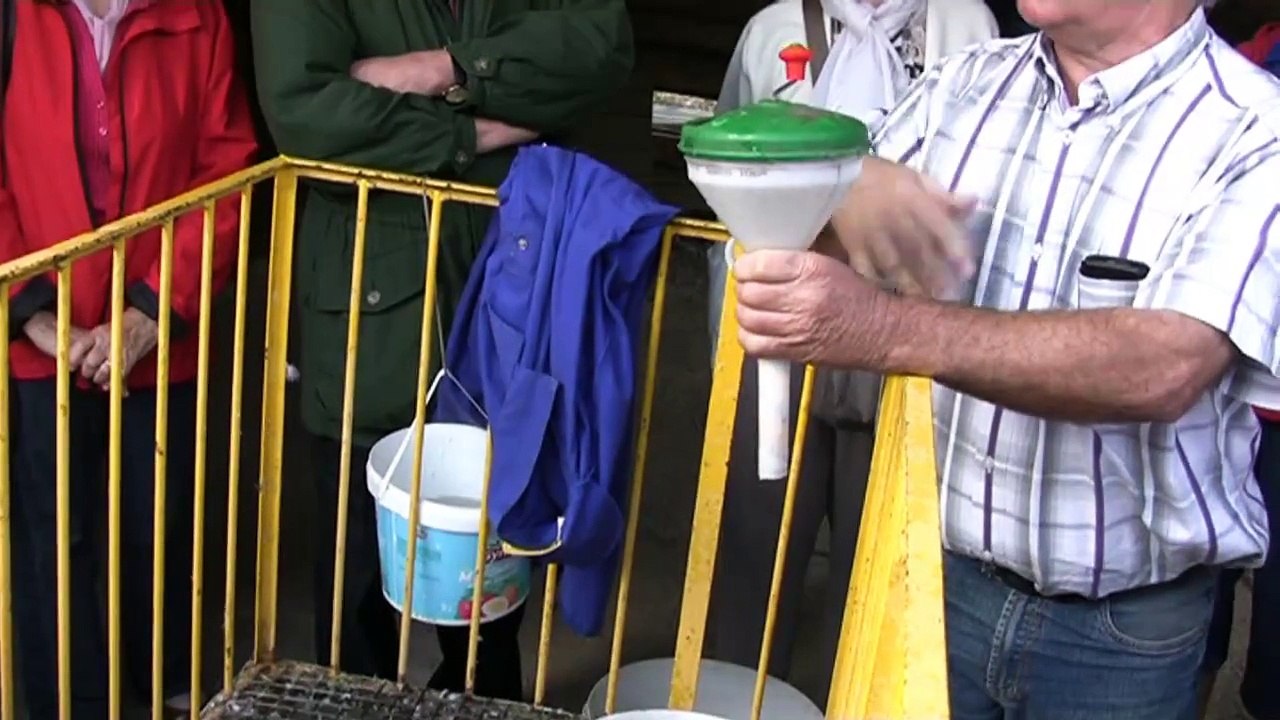 Périgord-Quercy gavage des canards méthode artisanale