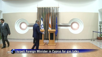 Israeli FM in Cyprus for gas talks