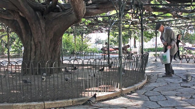 L'homme qui n'aimait que les moineaux , court-métrage poétique, ludique et ornithologique