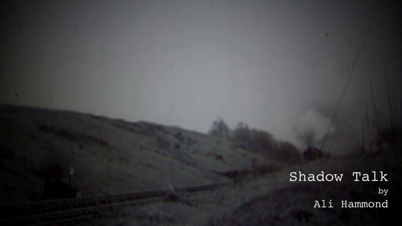 Shadow Talk by Ali HAmmond cover by michael hermiston