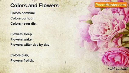 Cat Ducat - Colors and Flowers