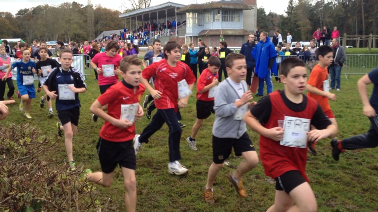 Cross du conseil général au haras du Pin