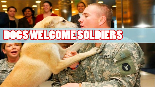 DOGS WELCOME SOLDIERS.