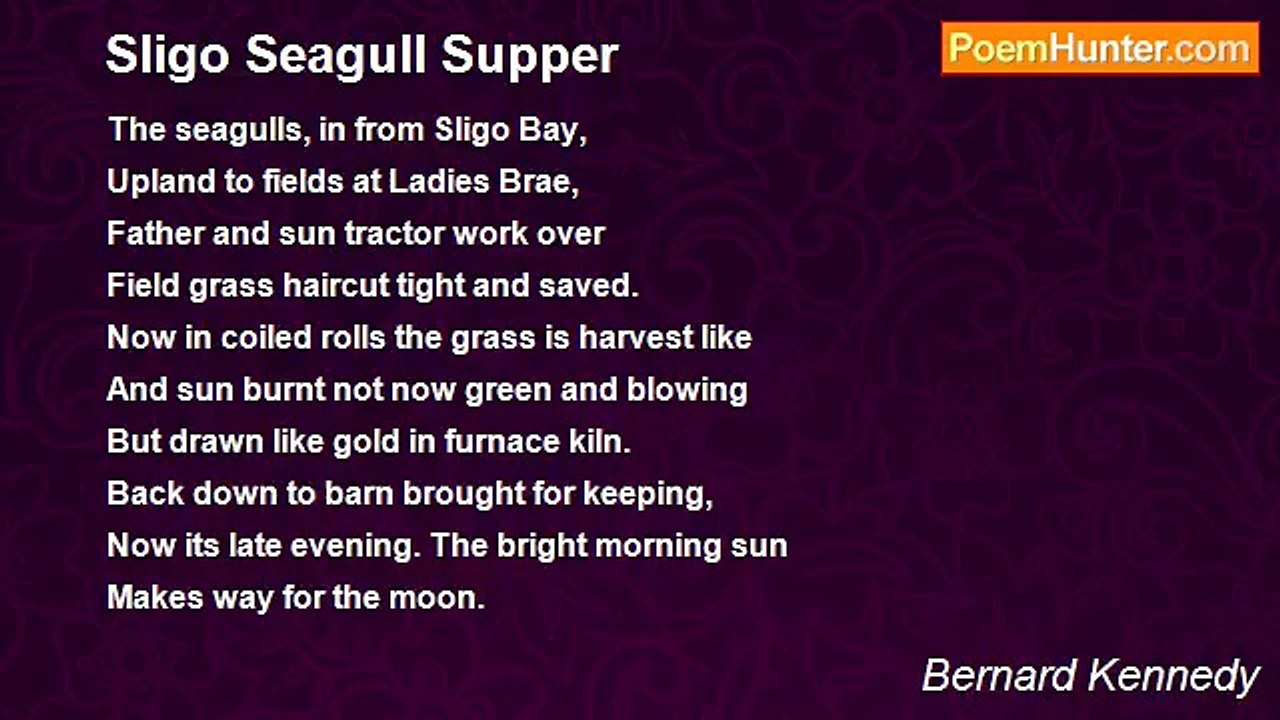 Bernard Kennedy - Sligo Seagull Supper