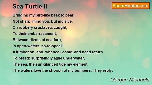 Morgan Michaels - Sea Turtle II