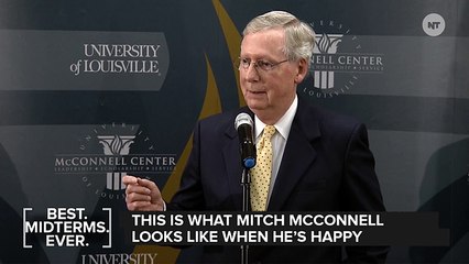 McConnell Seizes Power, Still Looks Like Sad Turtle