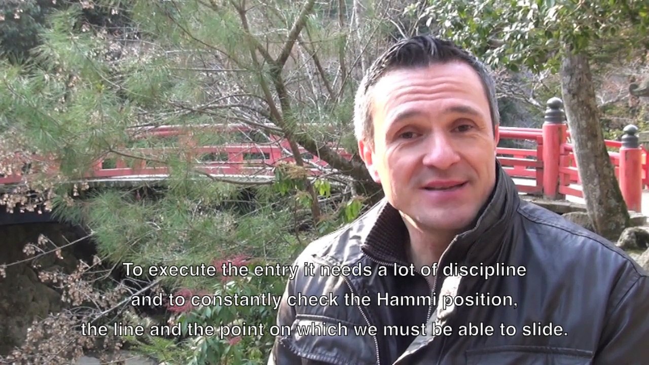 The Aikido Notbooks with Michel Erb Sensei  Part 7 Irimi